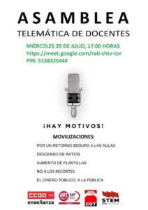 asamblea29jul